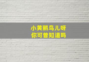 小黄鹂鸟儿呀 你可曾知道吗